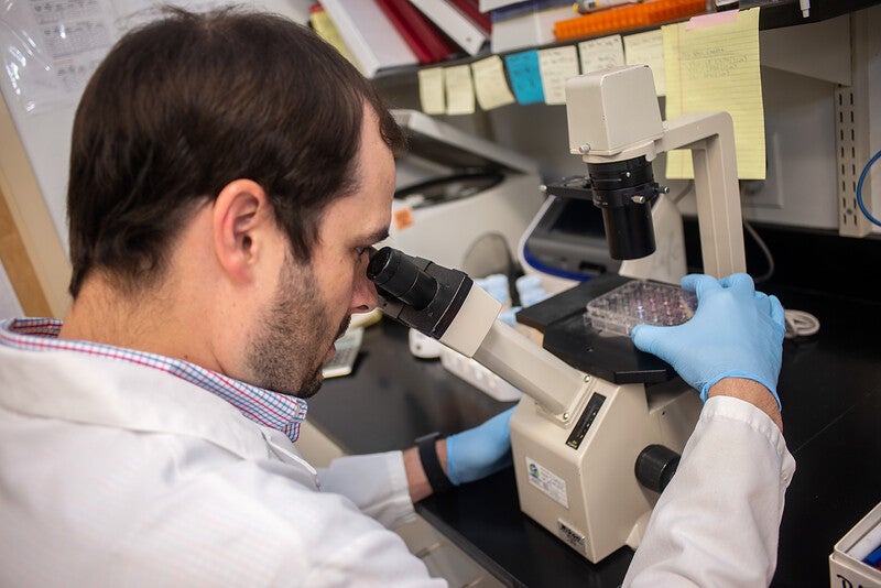 Investigador de fibrosis quística mirando al microscopio