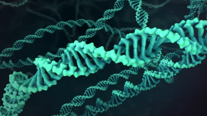 Imagen 3D de fragmentos de ADN