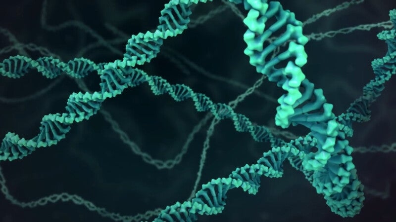 Imagen 3D del ácido desoxirribonucleico (ADN, o DNA, por sus siglas en inglés)