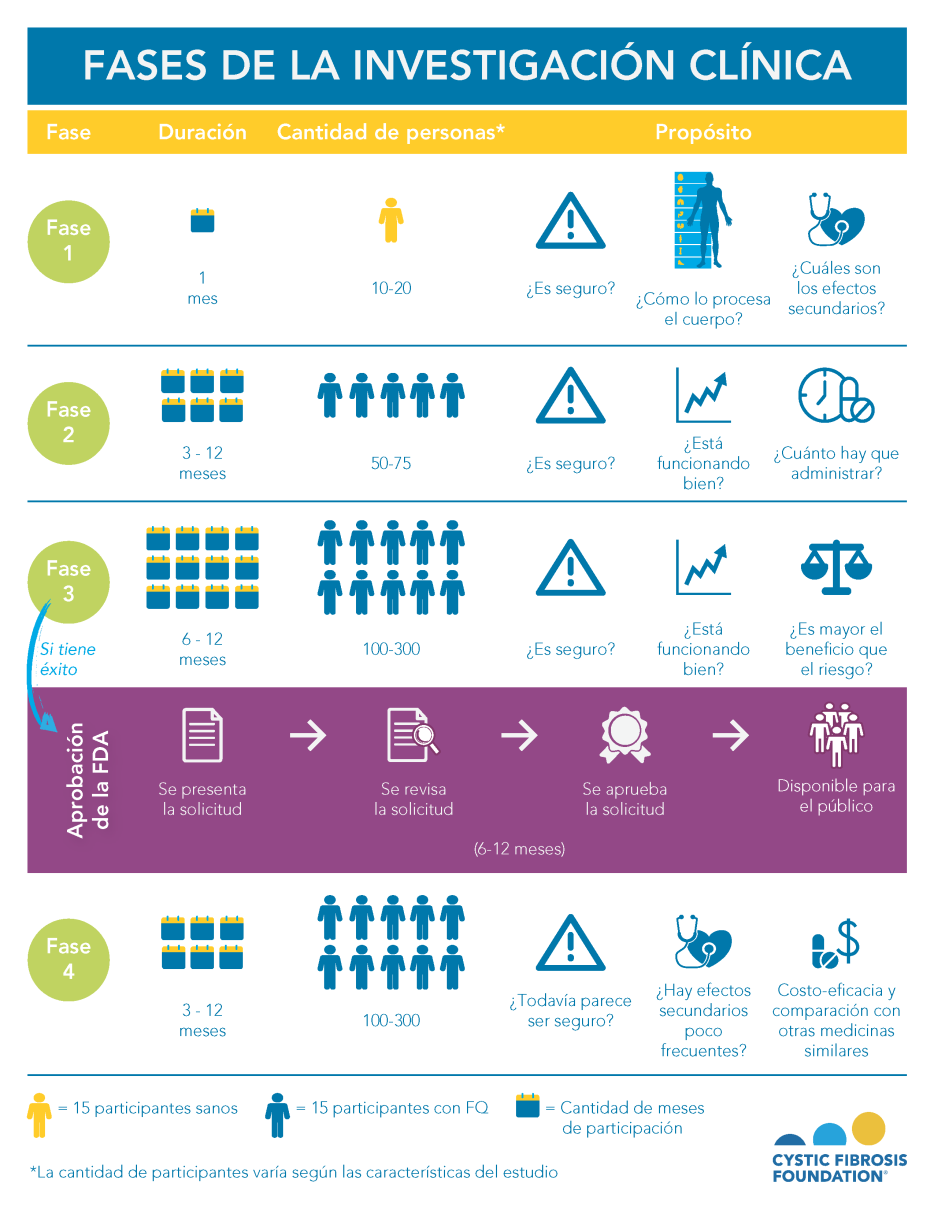 Una infografía que muestra las cuatro fases de la investigación clínica.