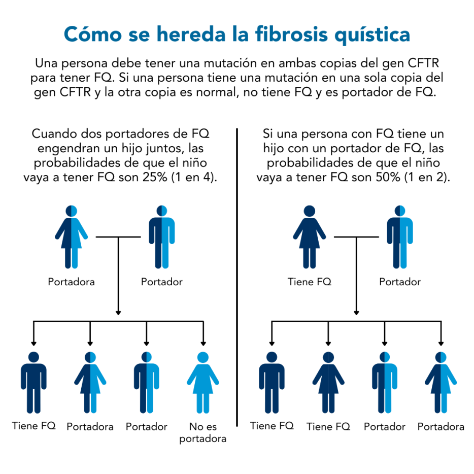 Diagrama que muestra cómo se hereda la fibrosis quística, una enfermedad genética recesiva.