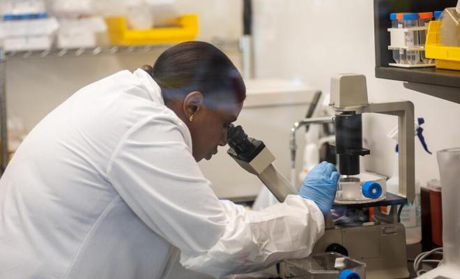 Una persona con piel oscura usa un microscopio