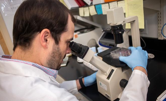 Investigador de fibrosis quística mirando al microscopio