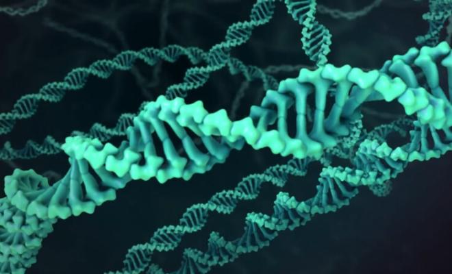Imagen 3D de fragmentos de ADN